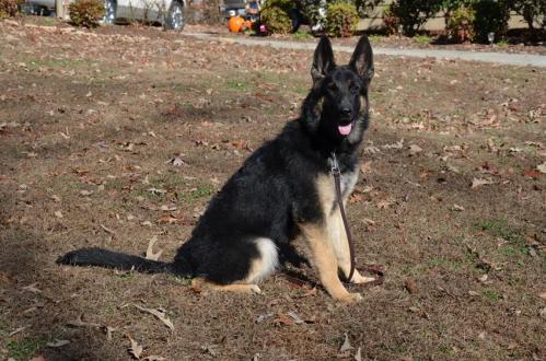 Cappie11-2013 (21) 1