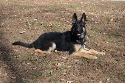 Cappie11-2013 (27) 1