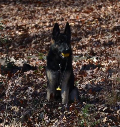 Cappie11-2013 (30) 1