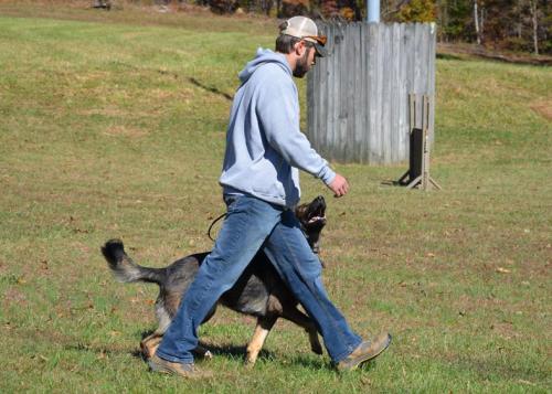 TrainingatJacks110214withvalor381 1