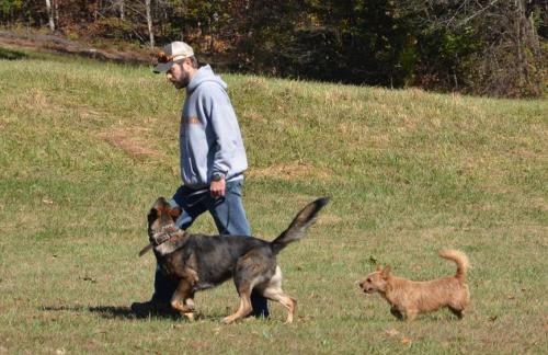 TrainingatJacks110214withvalor390 1