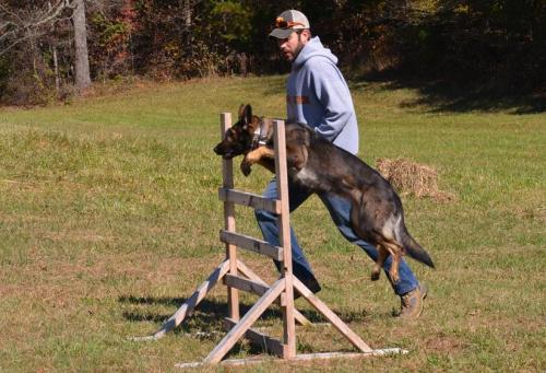 TrainingatJacks110214withvalor423 1