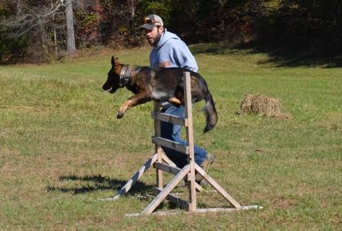 TrainingatJacks110214withvalor424 1
