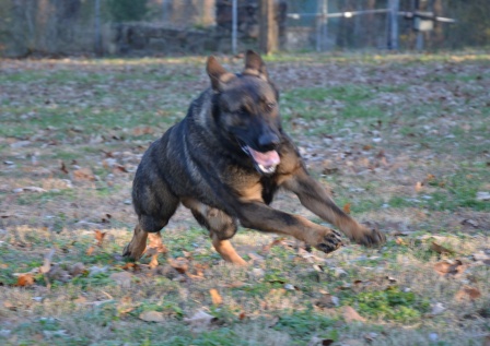 Hollywood1-20-13-035