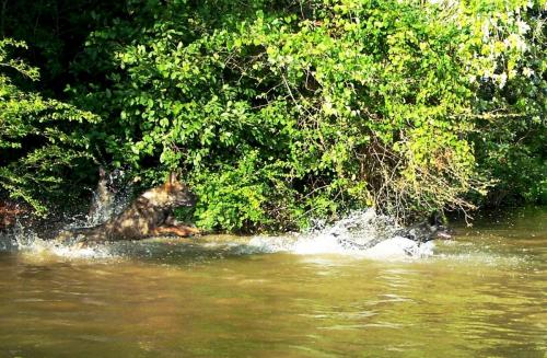 Hollywood7-19-12-025