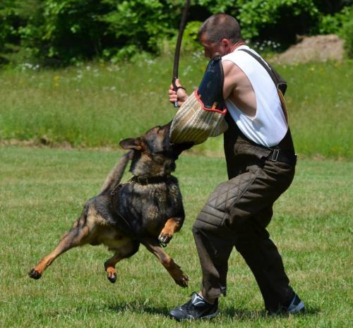 Hollywood'383531 584233431610182 1801926137 n