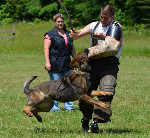 Hollywood382632 584234414943417 1877686540 n