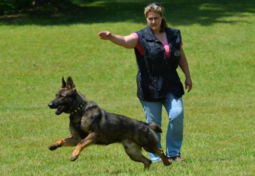 Hollywood401929 584227111610814 1412477601 n