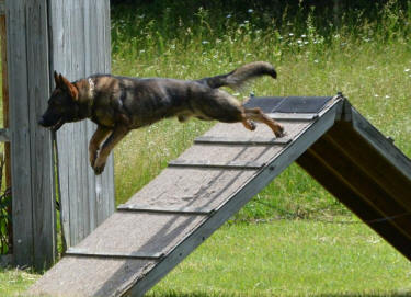 Hollywood404487 584218964944962 253108829 n small