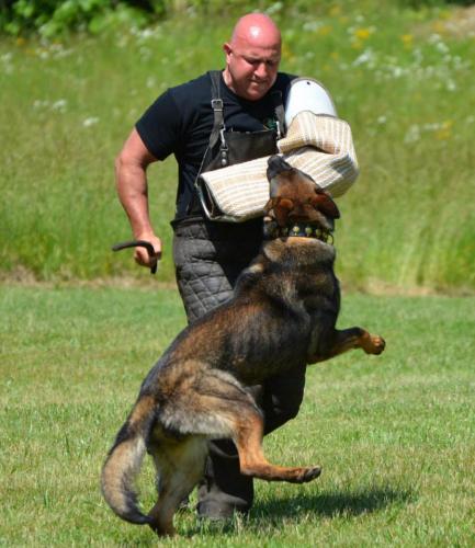 Hollywood425014 584234928276699 1799245769 n