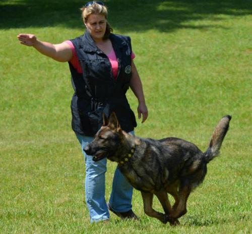 Hollywood579420 584225114944347 1449956404 n