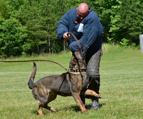 Hollywood581180 584231954943663 226723046 n