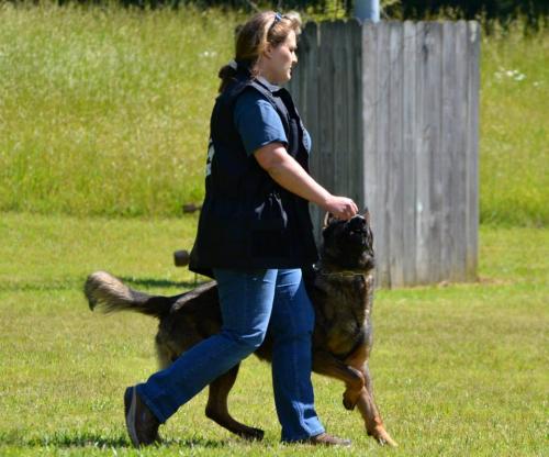 Hollywood942547 584215531611972 731363065 n