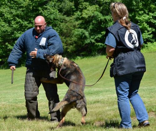 Hollywood942558 584232084943650 1234466587 n