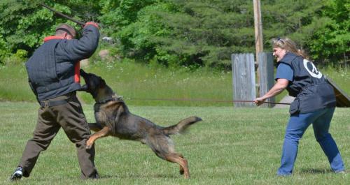 Hollywood944101 584231541610371 1792776058 n