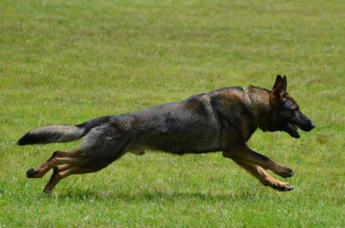 Hollywood945328 584218781611647 1855016676 n