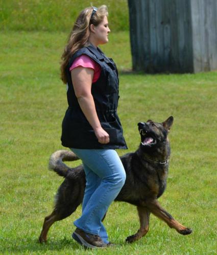 Hollywood969801 584219601611565 2141950386 n