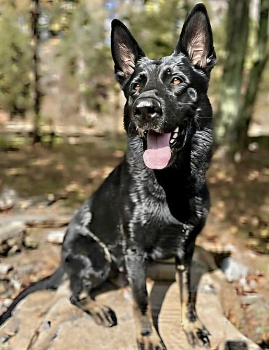 Pete-Pete-2-(1)