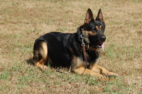 TrainingatJack's10-20-12104 1