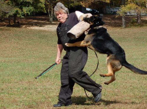 TrainingatJack's10-20-12424 1