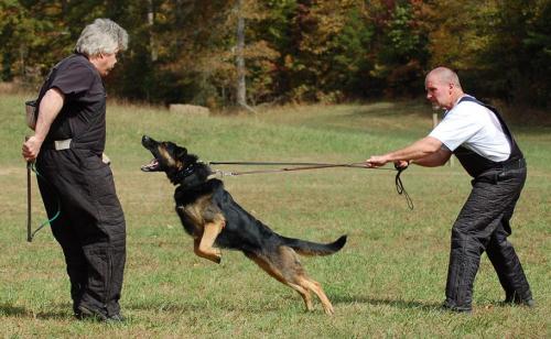 TrainingatJack's10-20-12426 1