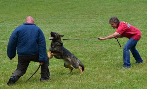 Kat408175 584232428276949 1343976813 n 1