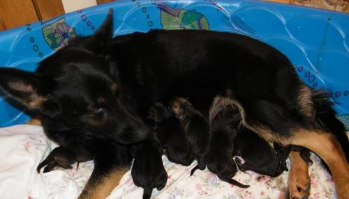 KiahThorn2-13-10-013 1