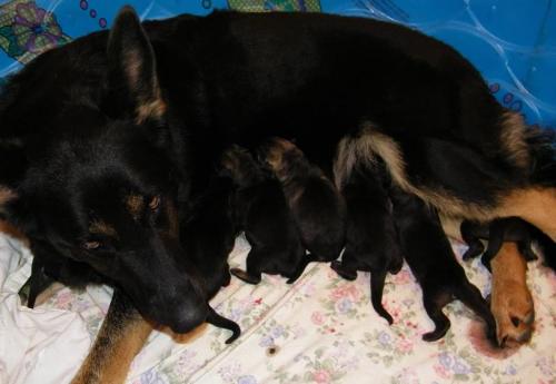 KiahThorn2-13-10-014 1