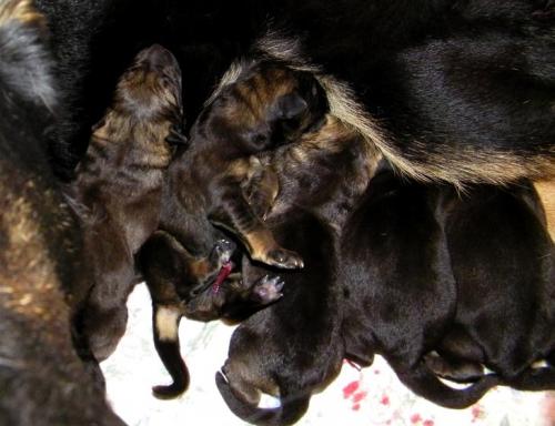 KiahThorn2-13-10-015 1