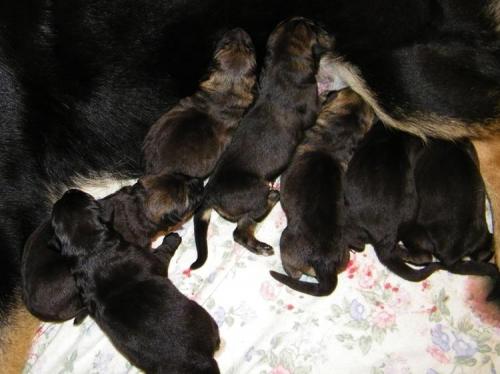 KiahThorn2-13-10-016 1