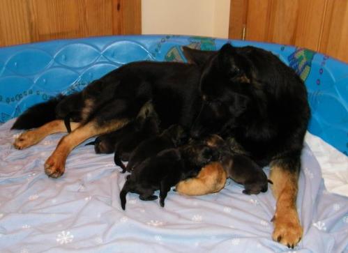 KiahThorn2-13-10-017 1