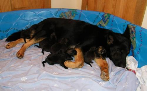 KiahThorn2-13-10-018 1