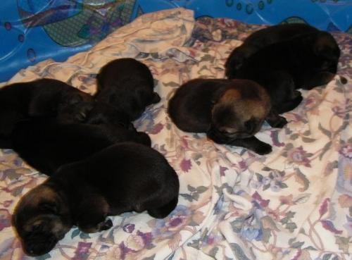 KiahThorn2-18-10-003 1