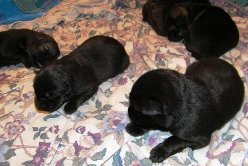 KiahThorn2-18-10-006 1