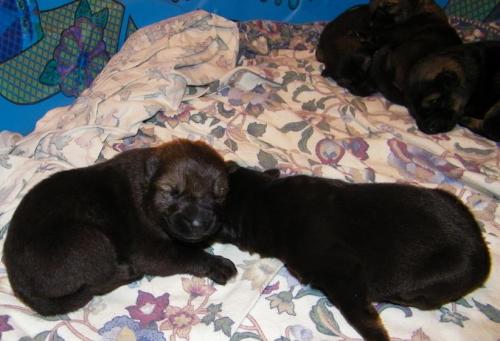 KiahThorn2-18-10-009 1