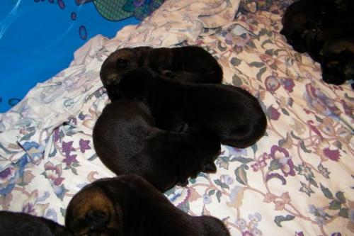 KiahThorn2-18-10-013 1