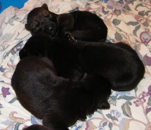 KiahThorn2-18-10-014 1