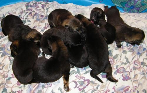 KiahThorn2-18-10-015 1