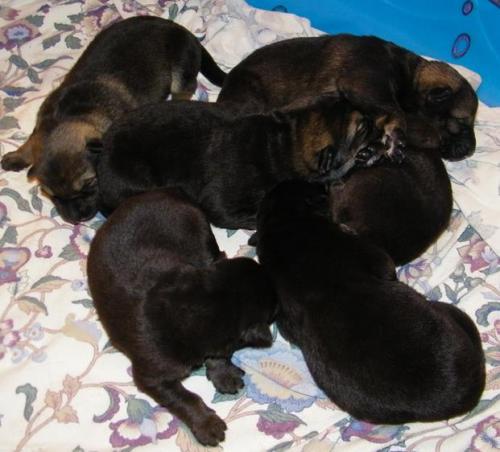 KiahThorn2-18-10-019 1