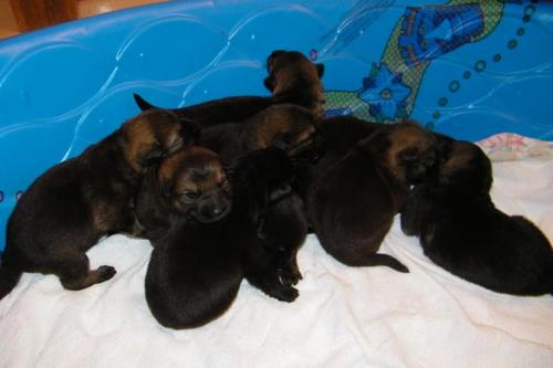 KiahThorn2-25-10-004 1