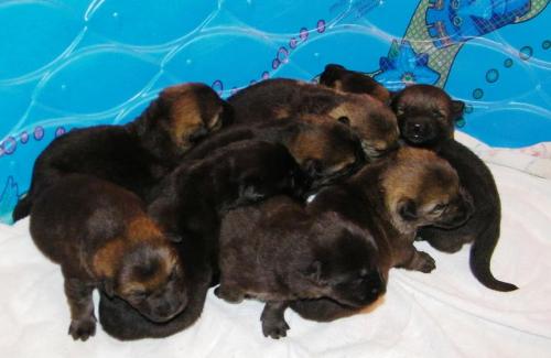 KiahThorn2-25-10-005 1