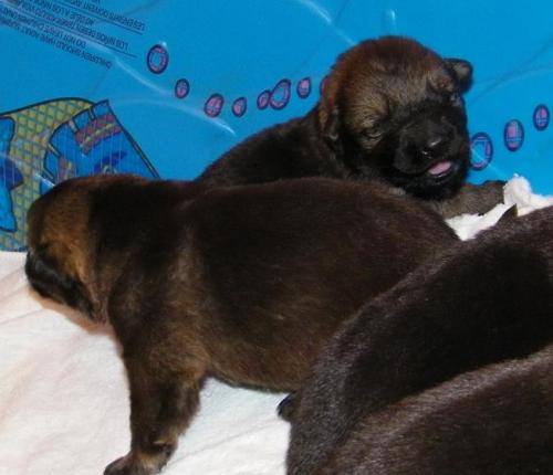 KiahThorn2-25-10-007 1