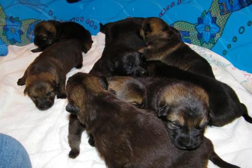 KiahThorn2-25-10-009 1