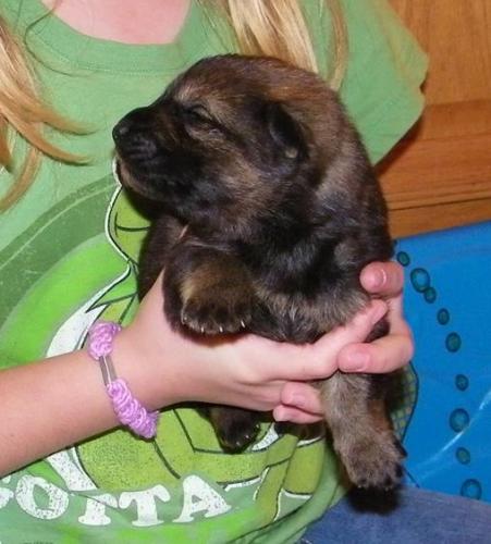 KiahThorn2-25-10-016 1