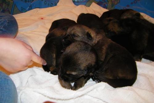 KiahThorn2-25-10-026 1