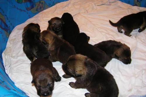 KiahThorn3-2-10-040 1