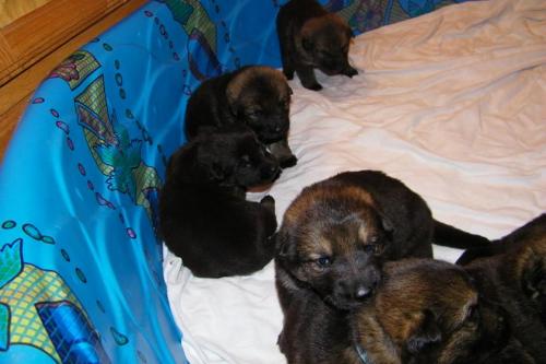 KiahThorn3-2-10-042 1