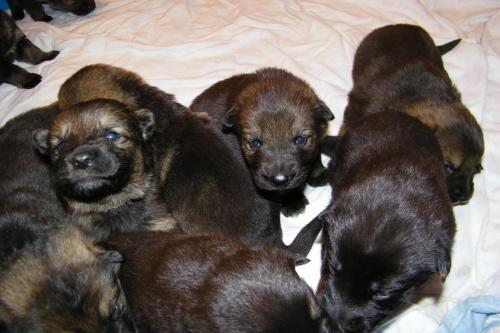 KiahThorn3-2-10-043 1