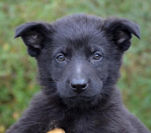 Rayan-Blueboy2-28-12-023 1