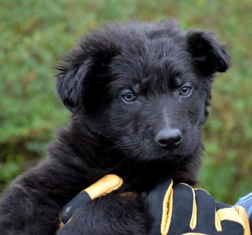 Rayan-Fuzzyboy2-28-12-036 1